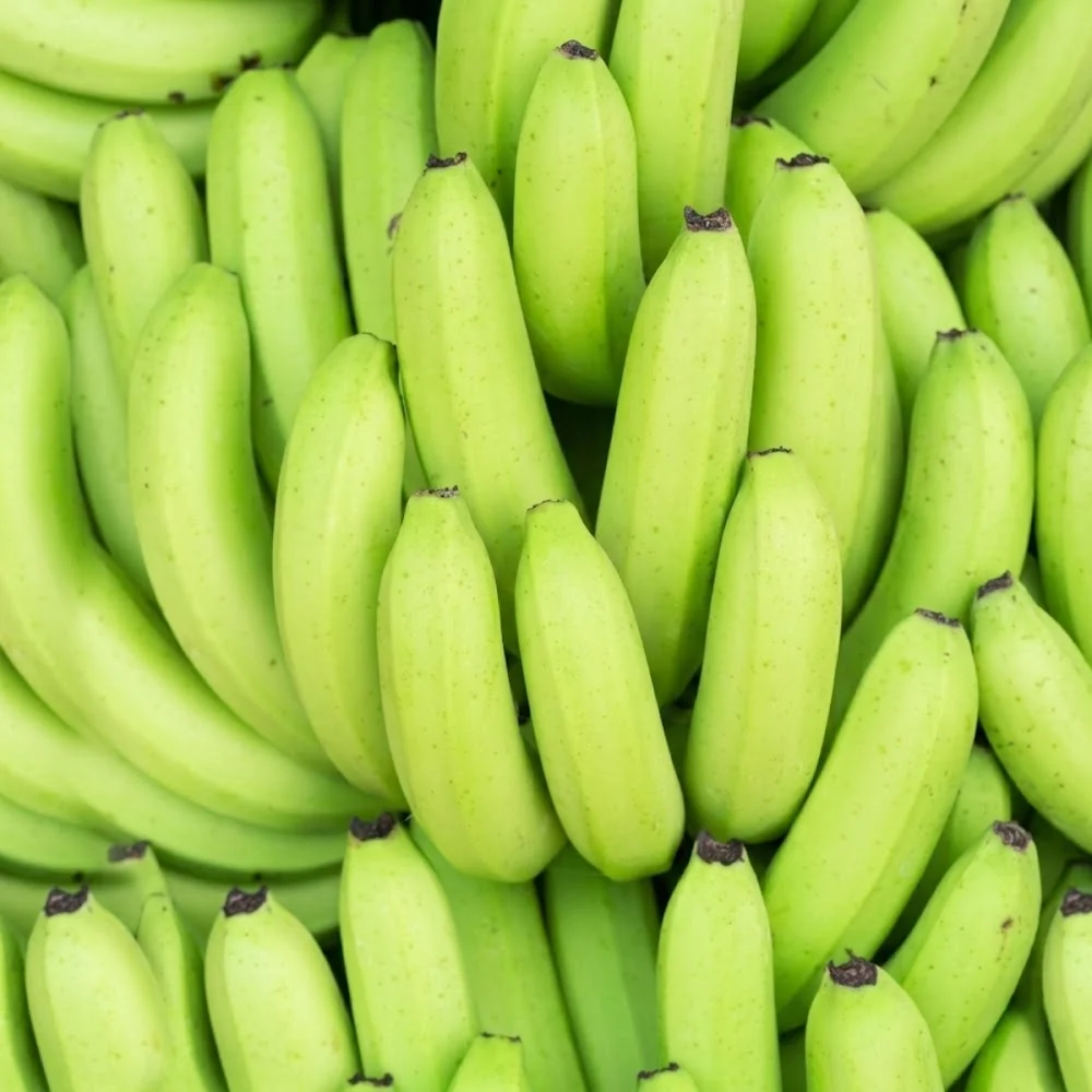 Green Cavendish Banana – Premium Export Quality from India