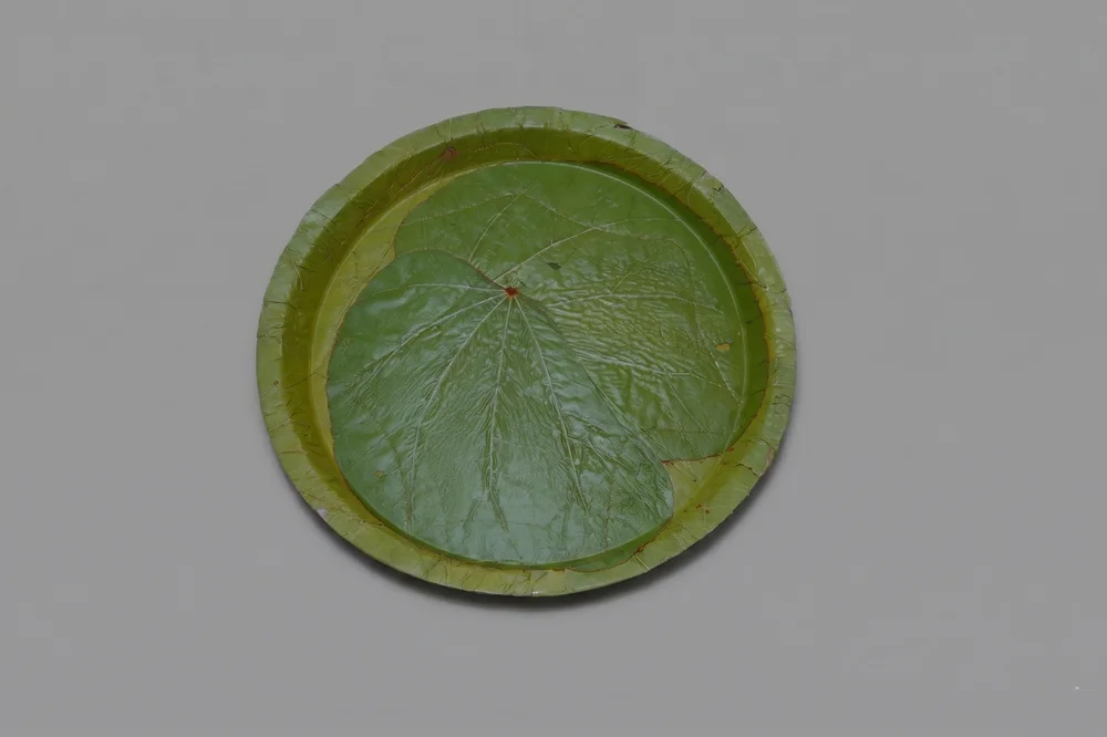 14" Tableware Plate | Sal Leaf | Thread Stitched | Export-Grade Bio-Degradable | MOQ 5000