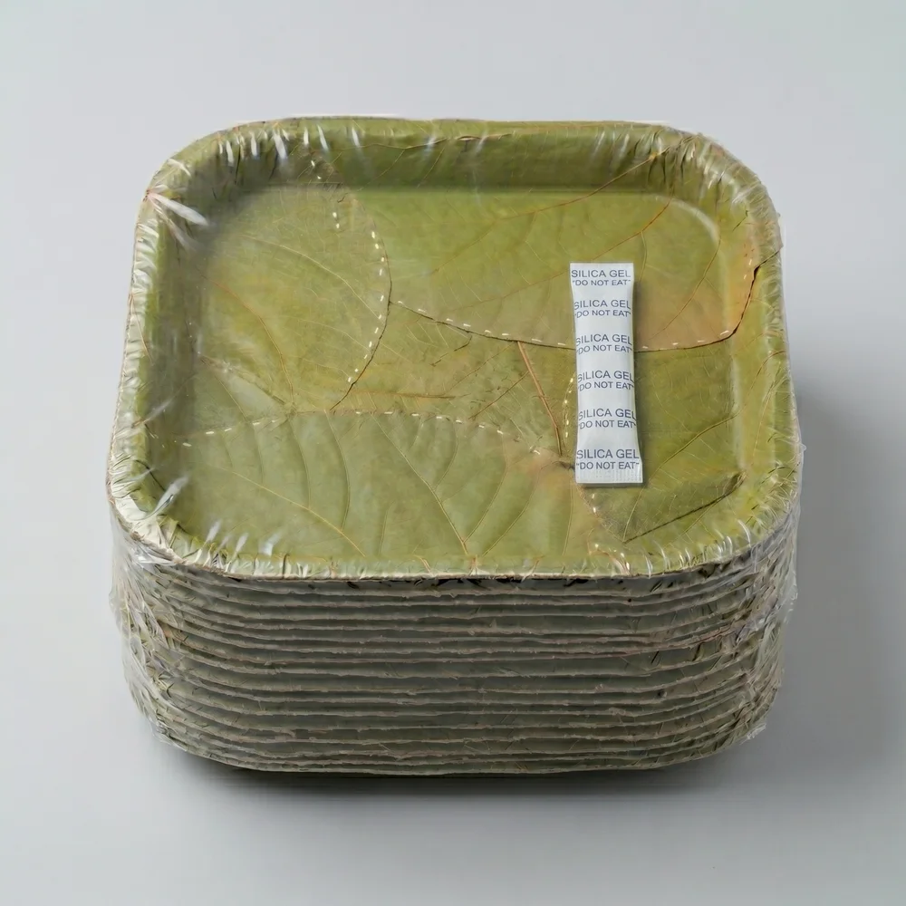 12" Square Buffet Plate | Stick Stitch | | Sal Leaf | Export-Grade Bio-Degradable | MOQ 5000